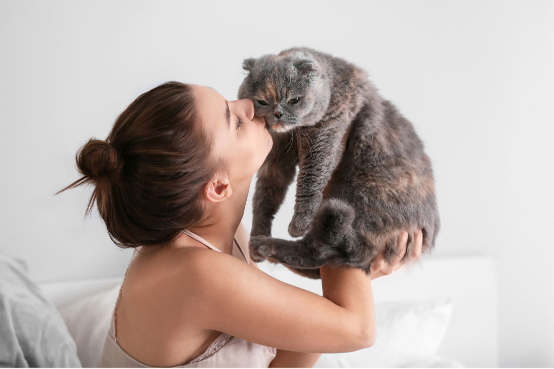 Woman interacting with a cat on a white background